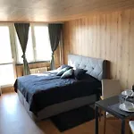 Appartement - Maroldova Ostrava